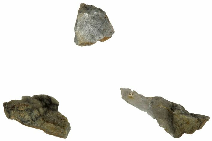 Three Polished Lunar Meteorite ( g) Fragments - NWA #313179